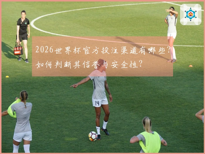 2026世界杯官方投注渠道有哪些？如何判断其信誉与安全性？