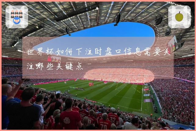 世界杯如何下注时盘口信息需要关注哪些关键点