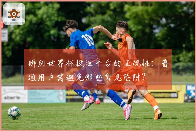 辨别世界杯投注平台的正规性:普通用户需避免哪些常见陷阱?