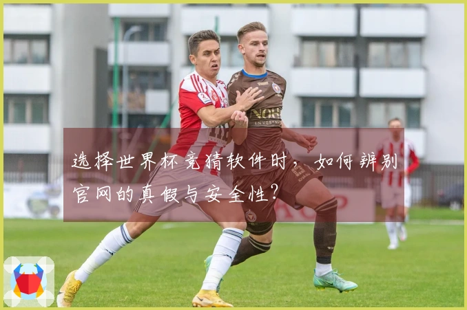 选择世界杯竞猜软件时，如何辨别官网的真假与安全性？