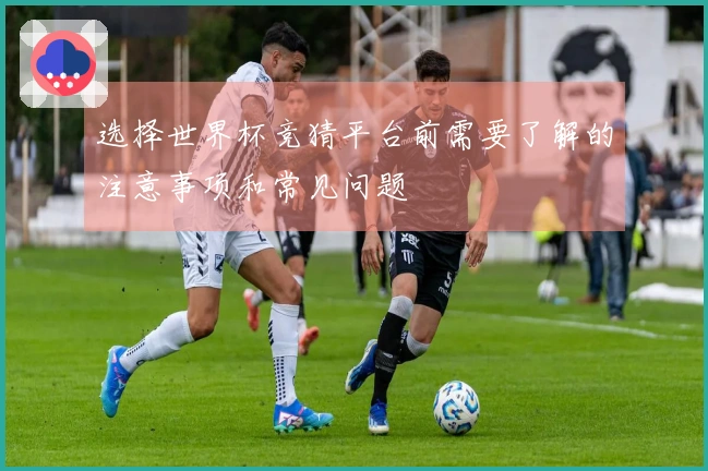 选择世界杯竞猜平台前需要了解的注意事项和常见问题