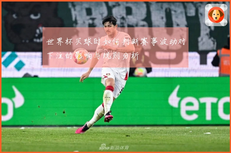 世界杯买球时如何判断赛事波动对下注的影响与规则分析
