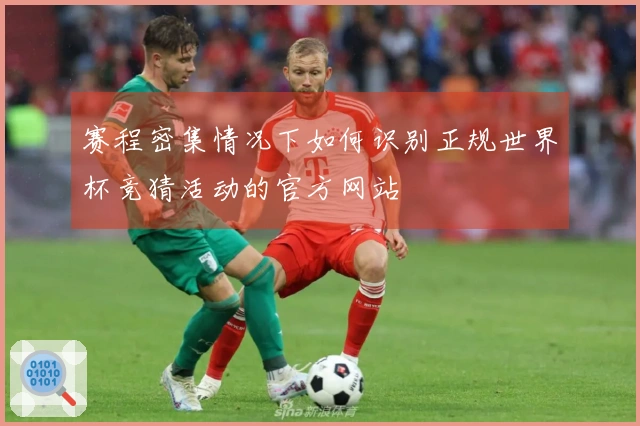 赛程密集情况下如何识别正规世界杯竞猜活动的官方网站