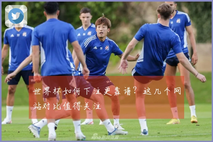 世界杯如何下注更靠谱？这几个网站对比值得关注