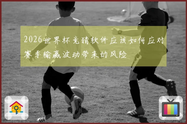 2026世界杯竞猜软件应该如何应对赛季输赢波动带来的风险