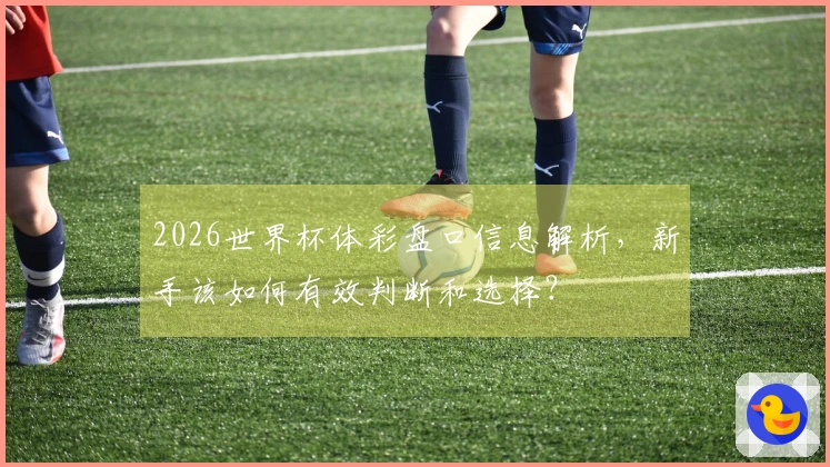 2026世界杯体彩盘口信息解析，新手该如何有效判断和选择？