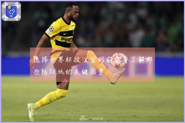 选择世界杯投注官网前需要了解哪些防踩坑的关键因素