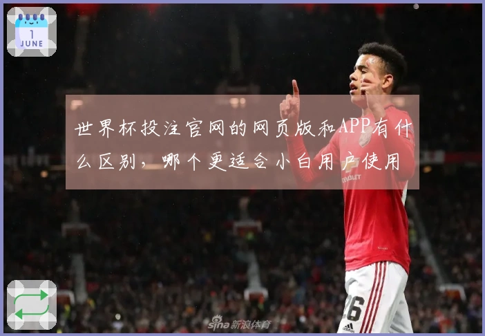 世界杯投注官网的网页版和APP有什么区别，哪个更适合小白用户使用？