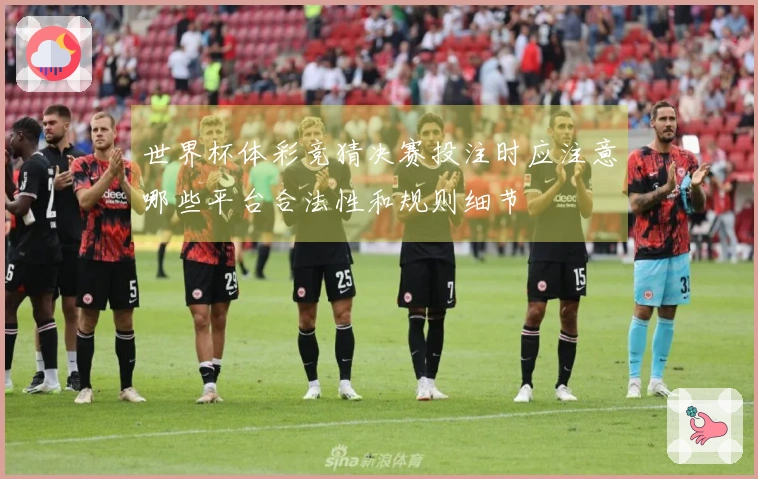 世界杯体彩竞猜决赛投注时应注意哪些平台合法性和规则细节