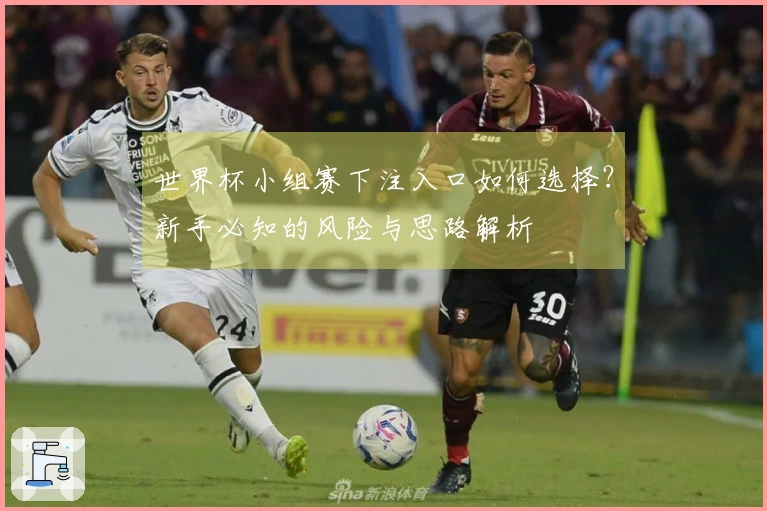 世界杯小组赛下注入口如何选择？新手必知的风险与思路解析
