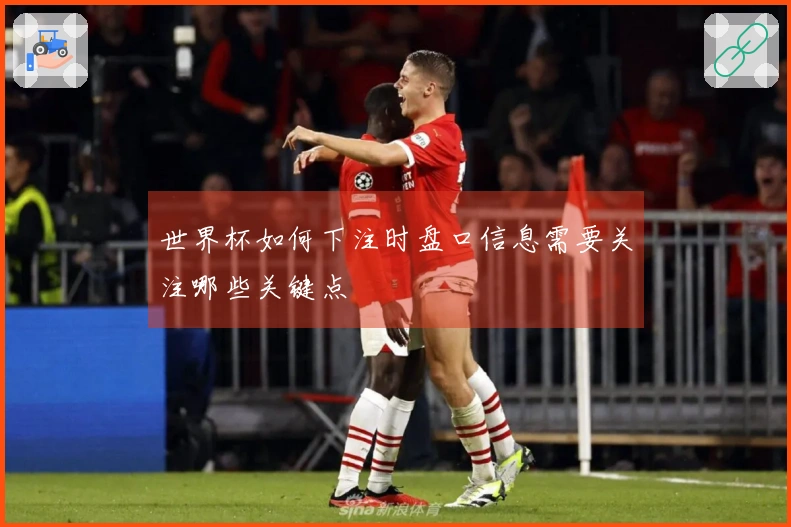 世界杯如何下注时盘口信息需要关注哪些关键点