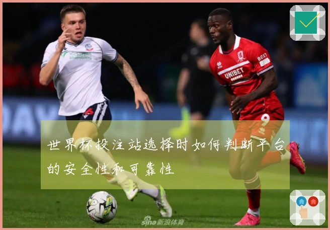 世界杯投注站选择时如何判断平台的安全性和可靠性