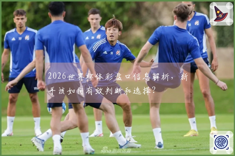 2026世界杯体彩盘口信息解析，新手该如何有效判断和选择？