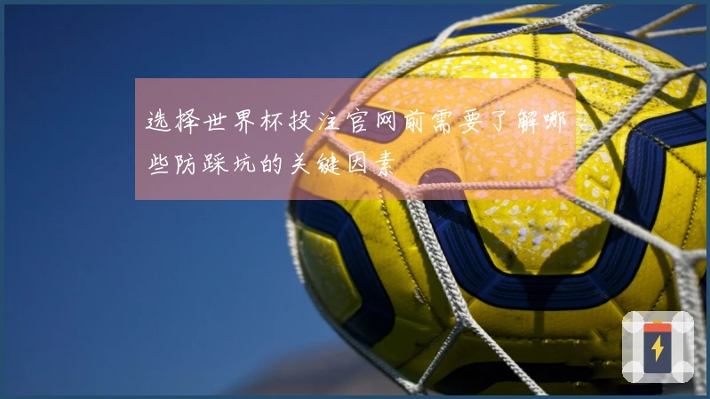 选择世界杯投注官网前需要了解哪些防踩坑的关键因素