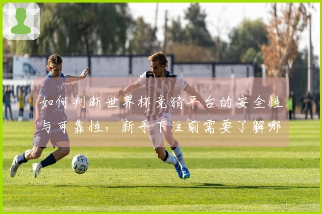 如何判断世界杯竞猜平台的安全性与可靠性，新手下注前需要了解哪些步骤